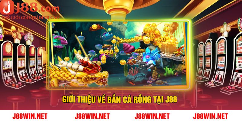 Giới Thiệu Về Bắn Cá Rồng Tại J88